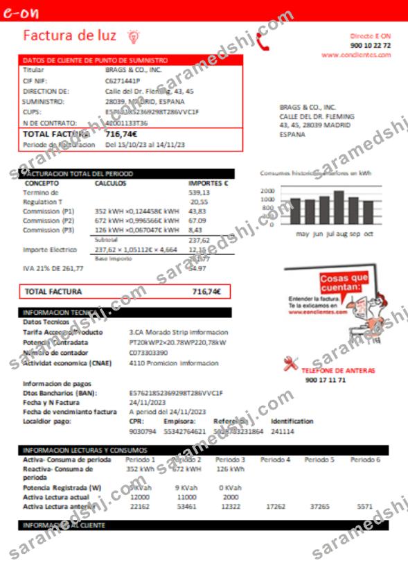 E.ON Spain electricity utility business bill,  SCR